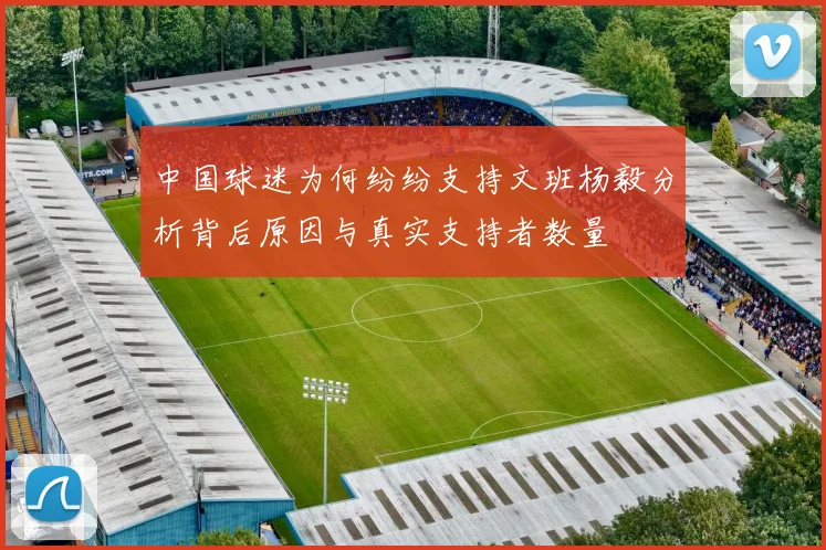 中国球迷为何纷纷支持文班杨毅分析背后原因与真实支持者数量
