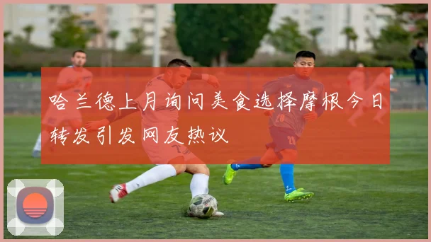 哈兰德上月询问美食选择摩根今日转发引发网友热议