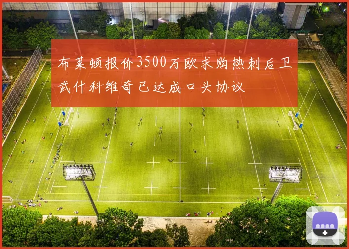 布莱顿报价3500万欧求购热刺后卫武什科维奇已达成口头协议