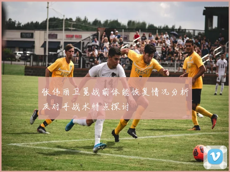 张伟丽卫冕战前体能恢复情况分析及对手战术特点探讨